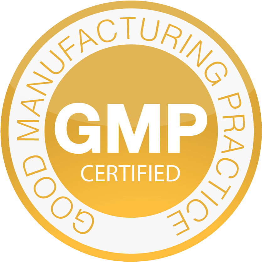 gmp logo gmp logo